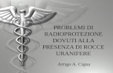 PROBLEMI DI RADIOPROTEZIONE DOVUTI ALLA PRESENZA DI ROCCE URANIFERE Arrigo A. Cigna.