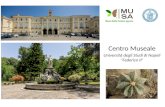 Centro Museale Università degli Studi di Napoli “Federico II”