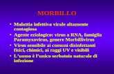 MORBILLO Malattia infettiva virale altamente contagiosaMalattia infettiva virale altamente contagiosa Agente eziologico: virus a RNA, famiglia Paramyxovirus,