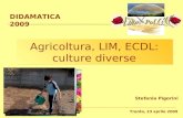 Agricoltura, LIM, ECDL: culture diverse DIDAMATICA 2009 Stefania Pigorini Trento, 23 aprile 2009.