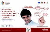 Roberta Pini Paola Tronu. LA METODOLOGIA DELL’INDAGINE Gli obiettivi del Progetto L’indagine del IV trimestre 2012 La Provincia di Livorno ha attivato.