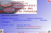 Università di Pavia Dipartimento di Fisica “A. Volta” Ossidi Ferroelettrici: dalla Scienza dei Materiali alla Fotonica P. Galinetto 1 Aprile 2004 Dip.