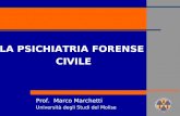 Prof. Marco Marchetti Università degli Studi del Molise LA PSICHIATRIA FORENSE CIVILE.