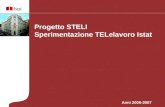 Anni 2006-2007 Progetto STELI Sperimentazione TELelavoro Istat.