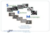 S S canning E E lectron M M icroscopy Microscopia ottica Fondamenti ottica elettronica Componenti di un SEM Corso di Microscopia Elettronica a Scansione.