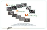 S S canning E E lectron M M icroscopy Interazione fascio-campione Rivelatori per elettroni secondari e retrodiffusi Effetti delle variazioni dei principali.