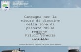 Agenzia Regionale per la Protezione dell’Ambiente del Friuli Venezia Giulia Palmanova, v. Cairoli 14 1 Campagna per la misura di diossine nella zona di.