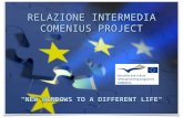 Storia del progetto Su richiesta del Dirigente Scolastico nel 2012 si è attivata la ricerca dei partners per avviare un progetto Comenius riguardante.