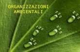 ORGANIZZAZIONI AMBIENTALI. In Italia l’organismo preposto alla conservazione del patrimonio ambientale è il ministero dell’ambiente, della tutela e del.