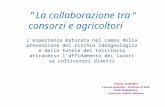 “La collaborazione tra consorzi e agricoltori ” L’esperienza maturata nel campo della prevenzione del rischio idrogeologico e della tutela del territorio.