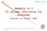 Slide n. 1 Modulo A-1 Il primo soccorso in azienda Modulo A-1 Il primo soccorso in azienda Bergamo 16 Giugno 2008 Percorso formativo ANPAS LOMBARDIA per: