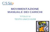 MOVIMENTAZIONE MANUALE DEI CARICHI TITOLO VI TESTO UNICO 81/08.