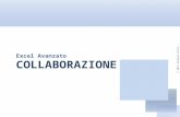 © 2012 Giorgio Porcu – Aggiornamennto 29/01/2012 C OLLABORAZIONE Excel Avanzato.