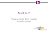 Modulo 2 Fisiopatologia della malattia veno-occlusiva.