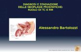 Alessandro Bartolozzi Centro Diagnostico Medico Leonardo da Vinci - Firenze