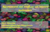 Siena, 19 febbraio 2014 Riconoscersi nel traffico: un mistero molecolare Riconoscersi nel traffico: un mistero molecolare Siena, 19 febbraio 2014 Neri.