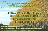 Impiego di genotipi di salicacee per interventi di fitorimedio Pier Mario Chiarabaglio Nervo G., Facciotto G., Vietto L., Castro, G., Mughini G. Pier Mario.