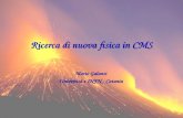 Ricerca di nuova fisica in CMS Mario Galanti Università e INFN - Catania.