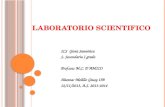 LABORATORIO SCIENTIFICO ICS Gioia Sannitica S. Secondaria I grado Prof.ssa: M.C. D’AMICO Alunna: Melillo Giusy IIB 12/11/2013, A.S. 2013-2014.