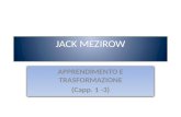 JACK MEZIROW APPRENDIMENTO E TRASFORMAZIONE (Capp. 1 -3) APPRENDIMENTO E TRASFORMAZIONE (Capp. 1 -3)