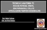 Dott. Mattia Carbone Dott. ssa Rosa Martora Università degli Studi di Salerno TECNICA E ANATOMIA TC ROCCHE PETROSE, ORBITE, SENI PARANASALI, COLLO E ARTICOLAZIONE.