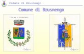 Comune di Brusnengo. PRESENTAZIONE DEL COMUNE Brusnengo ha: 10 kmq di territorio Territorio senza frazioni sparse 2200 abitanti 7,8 (quasi otto) dipendenti,