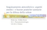 Inquinamento atmosferico: aspetti medici e buone pratiche sanitarie per la difesa della salute Dott.ssa Edda Enzo S.C. Pneumotisiologia ULSS 2 Feltre.