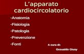 L’apparato cardiocircolatorio A cura di: Gesualdo Giusy -Anatomia -Fisiologia -Patologia -Prevenzione -Fonti.
