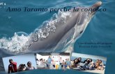 Amo Taranto perché la conosco Coordinatirce del progetto Prof.ssa Enza Tomaselli.