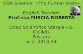 UDA Science: «The human brain» English Teacher: Prof.ssa MISCIA ROBERTA Liceo Scientifico Statale «G. Galilei» Pescara a. s. 2013-14.