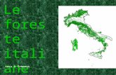 Le foreste italiane Luca & Tommaso. La superficie forestale italiana è di circa 10 milioni di ettari (9,98 milioni), pari ad un terzo del territorio.