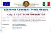 Università degli Studi di Pavia Facoltà di Economia Economia Aziendale - Primo modulo Cap. 5 – SETTORI PRODUTTIVI Titolari: A/K-MODULO Economia Aziendale.