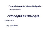 CITOLOGIA E ISTOLOGIA Corso di Laurea in Scienze Biologiche A.A. 2013-2014 Prof. Lucia Piredda CANALE M-Z