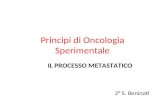 Principi di Oncologia Sperimentale IL PROCESSO METASTATICO 2° S. Beninati