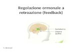 Regolazione ormonale a retroazione (feedback) S. Beninati