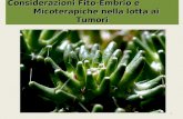 Considerazioni Fito-Embrio e Micoterapiche nella lotta ai Tumori 1.