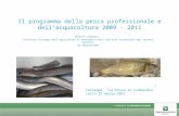 Il programma della pesca professionale e dell’acquacoltura 2009 - 2011 Alberto Lugoboni Struttura Sviluppo dell’agricoltura di montagna e dell’utilizzo.