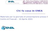 Chi fa cosa in ENEA Materiale per la giornata di presentazione presso il Centro di Frascati – 10 Aprile 2001.
