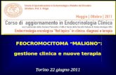 FEOCROMOCITOMA “ MALIGNO ” : gestione clinica e nuove terapia Torino 22 giugno 2011.