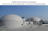 Dalla biomassa al biogas Nuove fonti di energia per un futuro ecosostenibile.