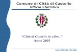“Città di Castello in cifre..” Anno 2005 Comune di Città di Castello Ufficio Statistica.
