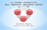 1 LA TRIADE INTERATTIVA NELL’AMBIENTE INQUINATO CONTRO LA SALUTE Giancarlo Ugazio Aracne, Ariccia (Rm) 2013.