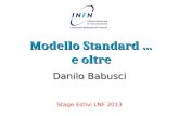 Modello Standard … e oltre Danilo Babusci Stage Estivi LNF 2013.
