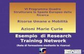 1 VI Programma Quadro Strutturare lo Spazio Europeo della Ricerca Risorse Umane e Mobilità Azioni Marie Curie Esempio di Research Training Network (Rete.