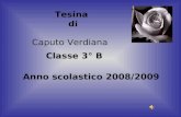Anno scolastico 2008/2009 Tesina di Caputo Verdiana Classe 3° B.