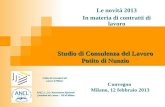 Studio di Consulenza del Lavoro Potito di Nunzio Le novità 2013 In materia di contratti di lavoro Convegno Milano, 12 febbraio 2013 Ordine dei Consulenti.