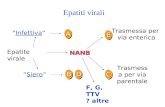 A “Infettiva” “Siero” Epatite virale Trasmessa per via enterica Trasmessa per via parentale F, G, TTV ? altre E NANB BD C Epatiti virali.