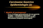 ¶ Modello di carcinogenesi: Il ca. si sviluppa generalmente da una gastrite atrofica  metaplasia intestinale   pH gastrico  conversione nitrati in.