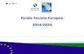 Fondo Sociale Europeo 2014/2020. 1. Programmi comunitari e Fondi (FESR, FSE, FEASR, FEAMP, Fondo di Coesione) per programmi nazionali e regionali + cicli.
