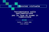 Dossier virtuale Testimonianza sulla sperimentazione per la fase di esame in Commissione Torino, 1° luglio 2002 Laura Autigna.